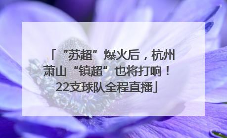 “苏超”爆火后，杭州萧山“镇超”也将打响！22支球队全程直播