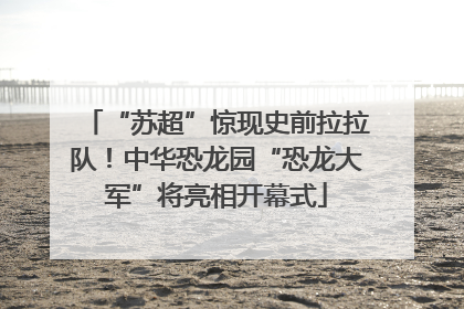 “苏超”惊现史前拉拉队！中华恐龙园“恐龙大军”将亮相开幕式