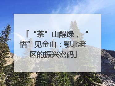 “茶”山醒绿，“悟”见金山：鄂北老区的振兴密码