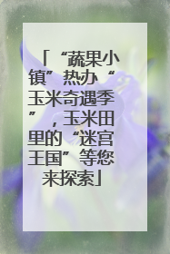 “蔬果小镇”热办“玉米奇遇季”，玉米田里的“迷宫王国”等您来探索