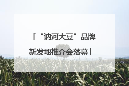“讷河大豆”品牌新发地推介会落幕