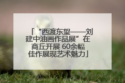 “西渡东望——刘建中油画作品展”在商丘开展 60余幅佳作展现艺术魅力