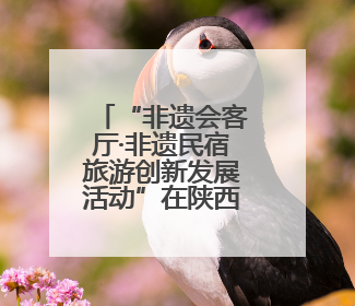 “非遗会客厅·非遗民宿旅游创新发展活动”在陕西留坝举办