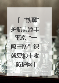 “铁翼”护航麦浪丰 平凉“一喷三防”织就夏粮丰收防护网