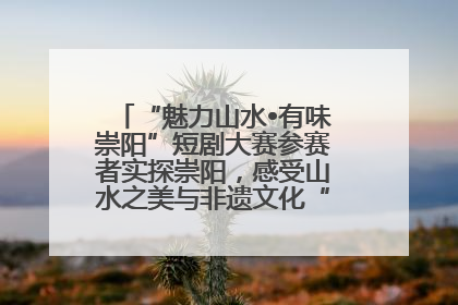 “魅力山水•有味崇阳”短剧大赛参赛者实探崇阳，感受山水之美与非遗文化“提琴戏”魅力