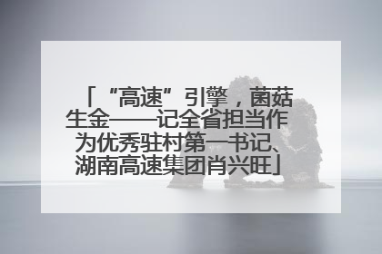 “高速”引擎，菌菇生金——记全省担当作为优秀驻村第一书记、湖南高速集团肖兴旺
