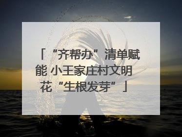 “齐帮办”清单赋能 小王家庄村文明花“生根发芽”