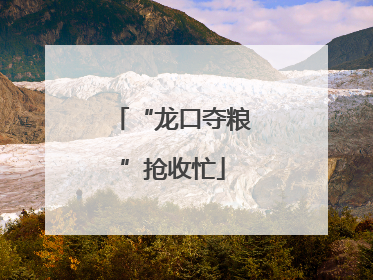 “龙口夺粮”抢收忙