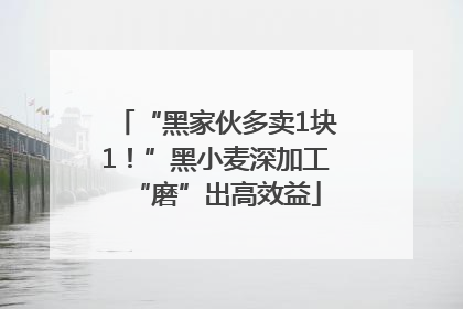 “黑家伙多卖1块1！”黑小麦深加工“磨”出高效益