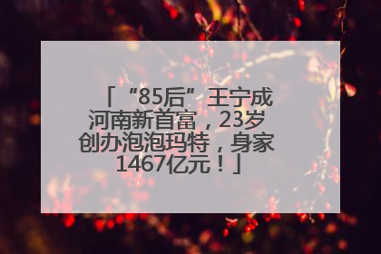 “85后”王宁成河南新首富，23岁创办泡泡玛特，身家1467亿元！