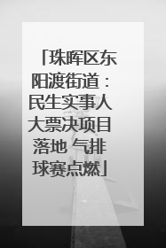 珠晖区东阳渡街道：民生实事人大票决项目落地 气排球赛点燃