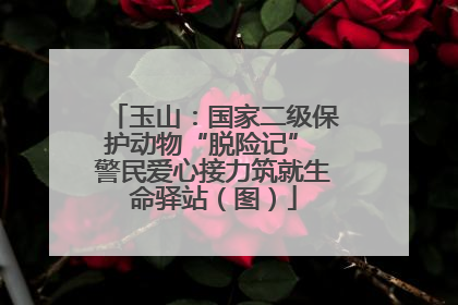 玉山：国家二级保护动物“脱险记” 警民爱心接力筑就生命驿站（图）