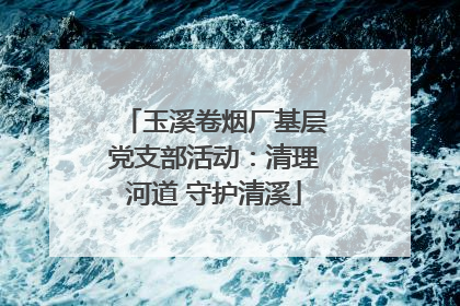 玉溪卷烟厂基层党支部活动：清理河道 守护清溪