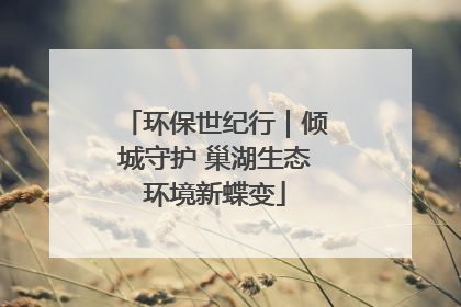 环保世纪行｜倾城守护 巢湖生态环境新蝶变