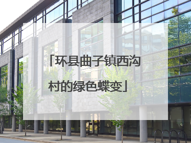 环县曲子镇西沟村的绿色蝶变