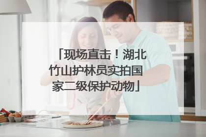 现场直击！湖北竹山护林员实拍国家二级保护动物