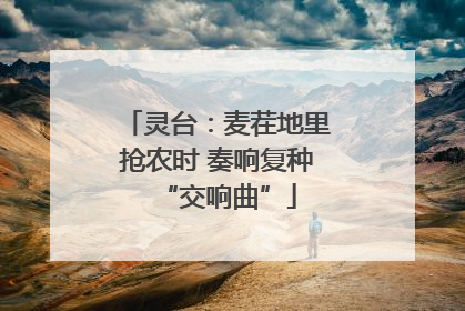 灵台：麦茬地里抢农时 奏响复种“交响曲”