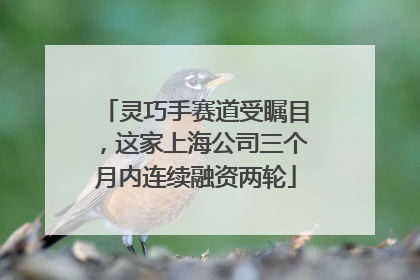 灵巧手赛道受瞩目，这家上海公司三个月内连续融资两轮