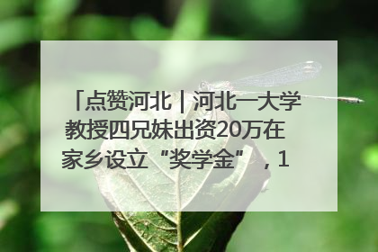 点赞河北｜河北一大学教授四兄妹出资20万在家乡设立“奖学金”，13年为320名农村学生种下“希望的种子”