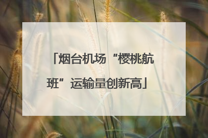 烟台机场“樱桃航班”运输量创新高