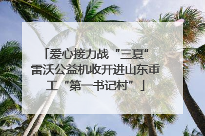 爱心接力战“三夏” 雷沃公益机收开进山东重工“第一书记村”