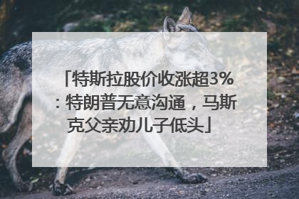 特斯拉股价收涨超3%：特朗普无意沟通，马斯克父亲劝儿子低头