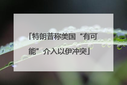 特朗普称美国“有可能”介入以伊冲突