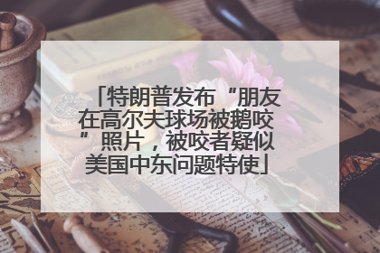 特朗普发布“朋友在高尔夫球场被鹅咬”照片，被咬者疑似美国中东问题特使