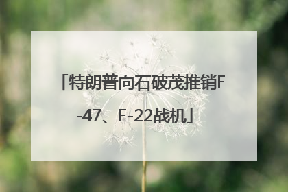 特朗普向石破茂推销F-47、F-22战机