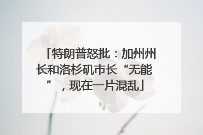 特朗普怒批：加州州长和洛杉矶市长“无能”，现在一片混乱