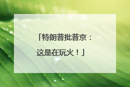 特朗普批普京：这是在玩火！