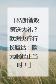 特朗普政策送大礼？欧洲央行行长喊话：欧元崛起正当时！
