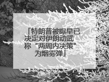 特朗普被曝早已决定对伊朗动武 称“两周内决策”为烟雾弹