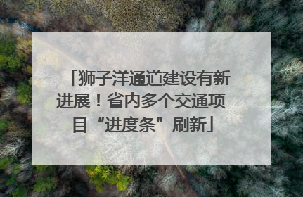 狮子洋通道建设有新进展！省内多个交通项目“进度条”刷新
