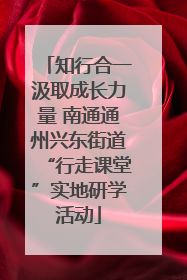 知行合一汲取成长力量 南通通州兴东街道“行走课堂”实地研学活动