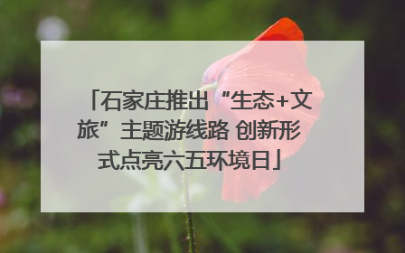 石家庄推出“生态+文旅”主题游线路 创新形式点亮六五环境日