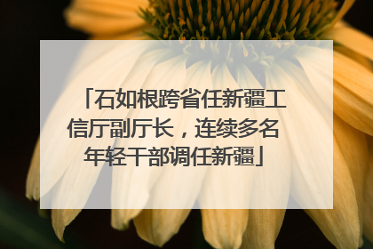 石如根跨省任新疆工信厅副厅长，连续多名年轻干部调任新疆