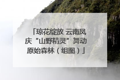 琼花绽放 云南凤庆“山野精灵”舞动原始森林（组图）