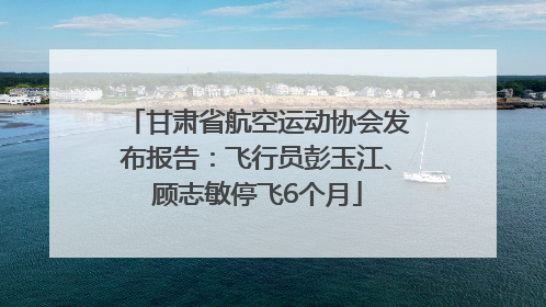 甘肃省航空运动协会发布报告：飞行员彭玉江、顾志敏停飞6个月