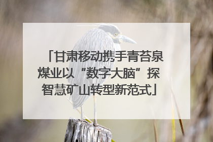 甘肃移动携手青苔泉煤业以“数字大脑”探智慧矿山转型新范式