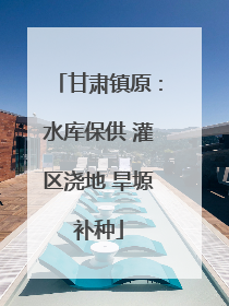 甘肃镇原：水库保供 灌区浇地 旱塬补种