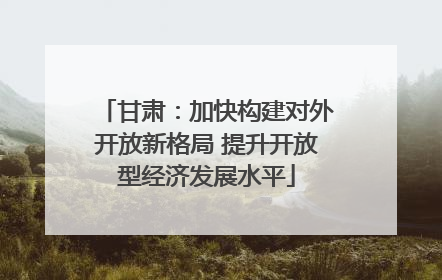 甘肃：加快构建对外开放新格局 提升开放型经济发展水平
