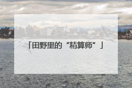 田野里的“精算师”