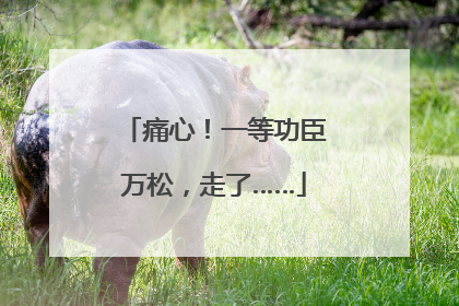 痛心！一等功臣万松，走了……