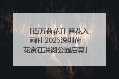百万荷花开 簪花入画时 2025深圳荷花赏在洪湖公园启幕