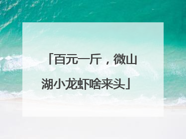 百元一斤，微山湖小龙虾啥来头