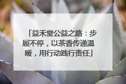益禾堂公益之路：步履不停，以茶香传递温暖，用行动践行责任