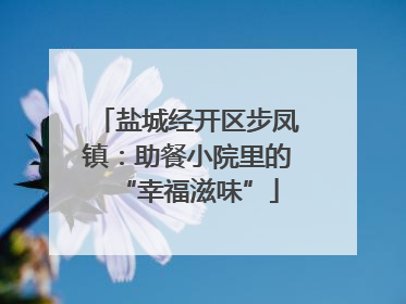 盐城经开区步凤镇：助餐小院里的“幸福滋味”