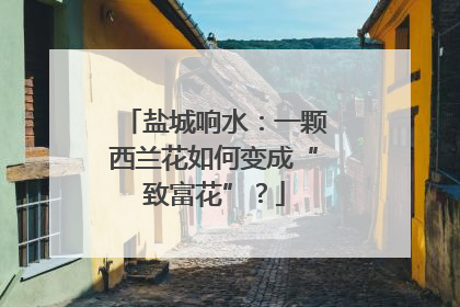 盐城响水：一颗西兰花如何变成“致富花”？