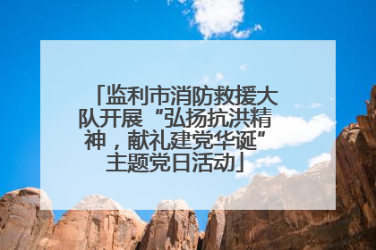 监利市消防救援大队开展“弘扬抗洪精神，献礼建党华诞”主题党日活动